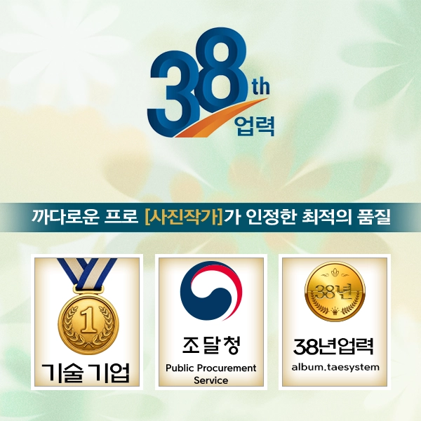 태시스템 앨범 역사 연혁 페이지 이동